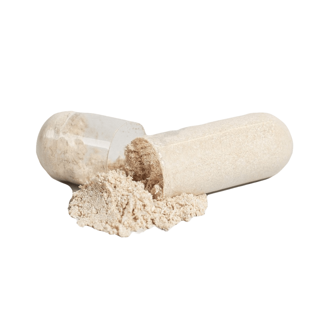 NeuroPrime – Advanced Brain & Focus Formula